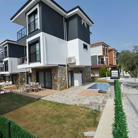 Begonvil Kusadası