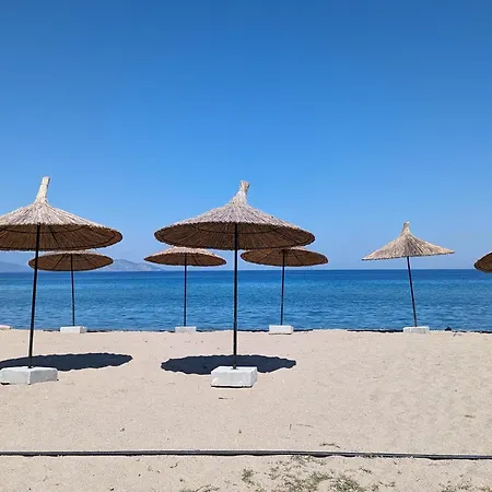 Begonvil Kusadası